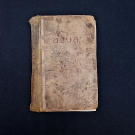 Петр Сюсюрев. Азиат. Книга СССР, роман