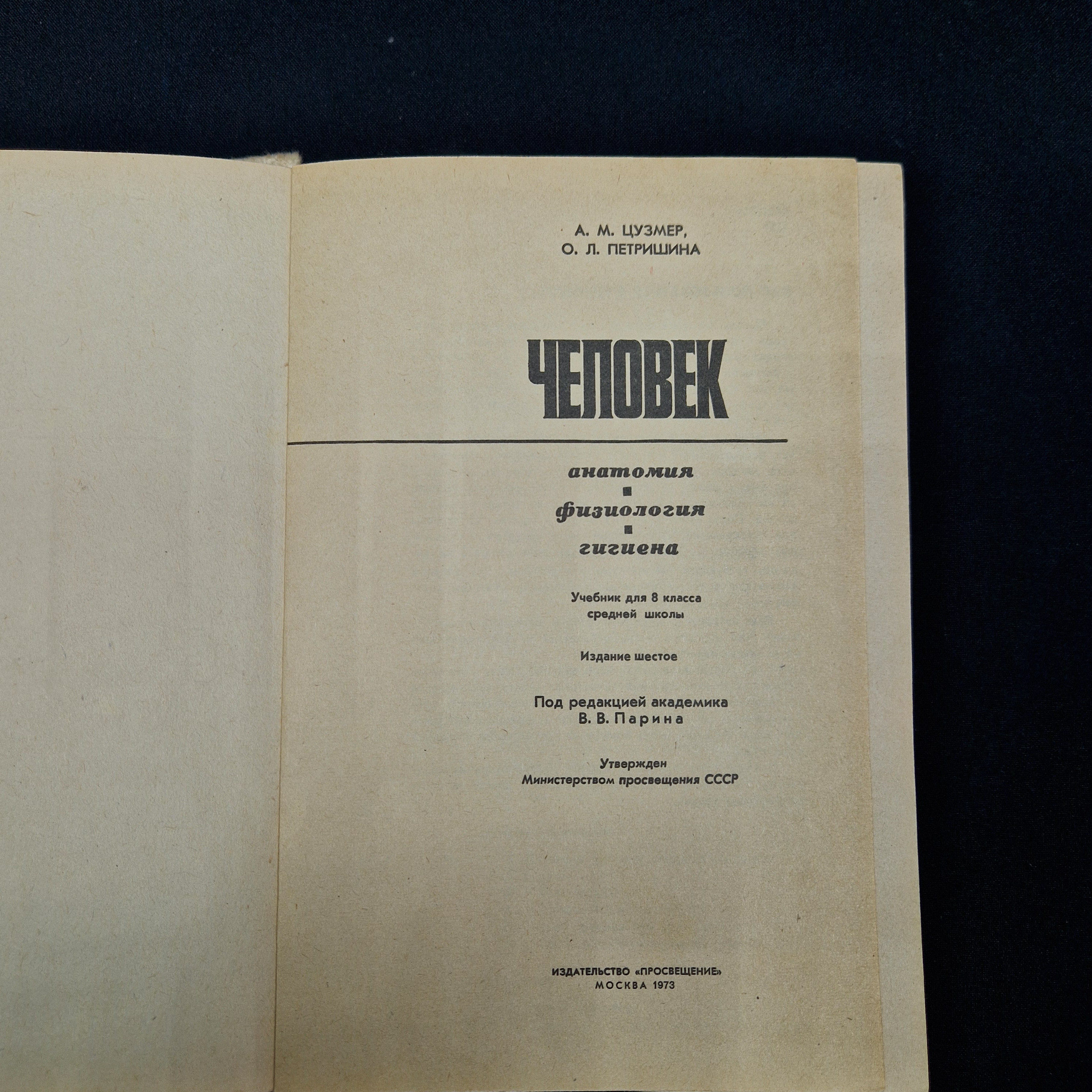 Картинка 4