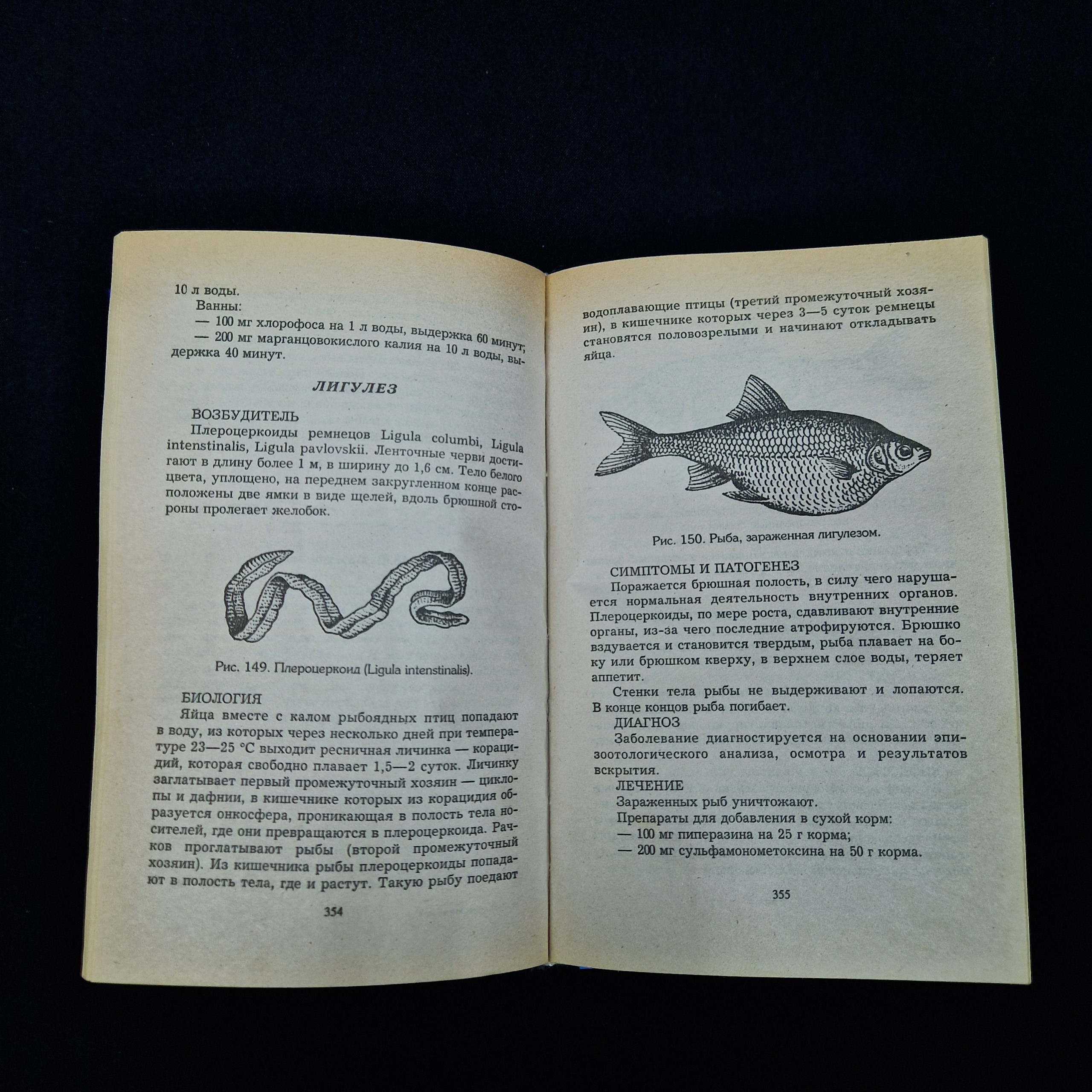 Картинка 6