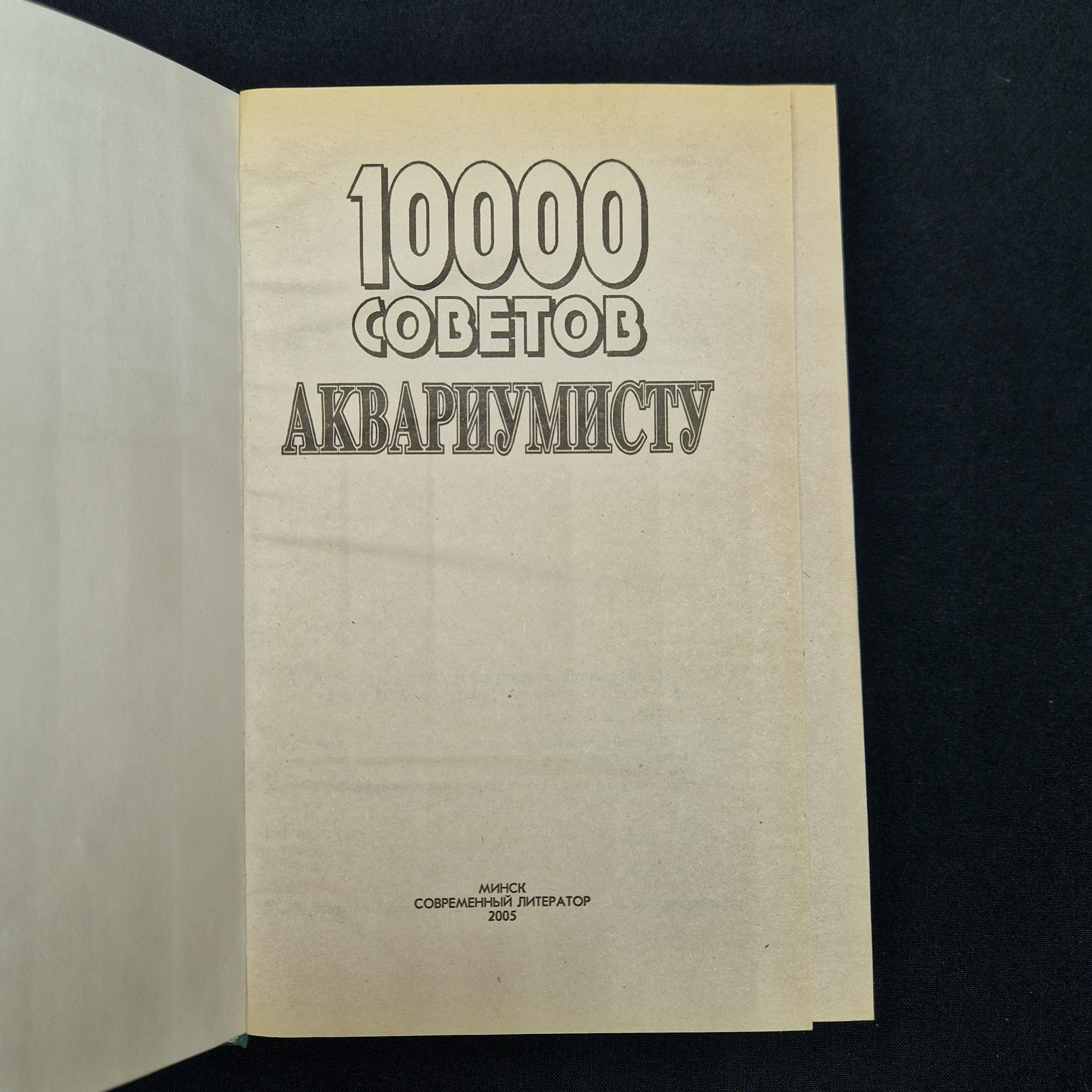 Картинка 4
