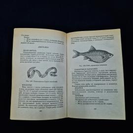Картинка 6