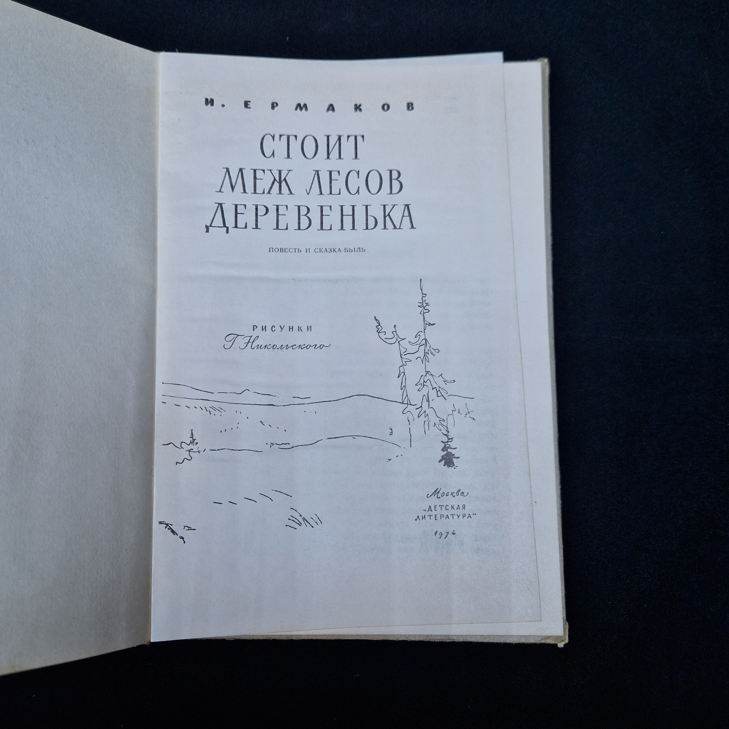 Картинка 4