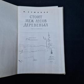 Картинка 4