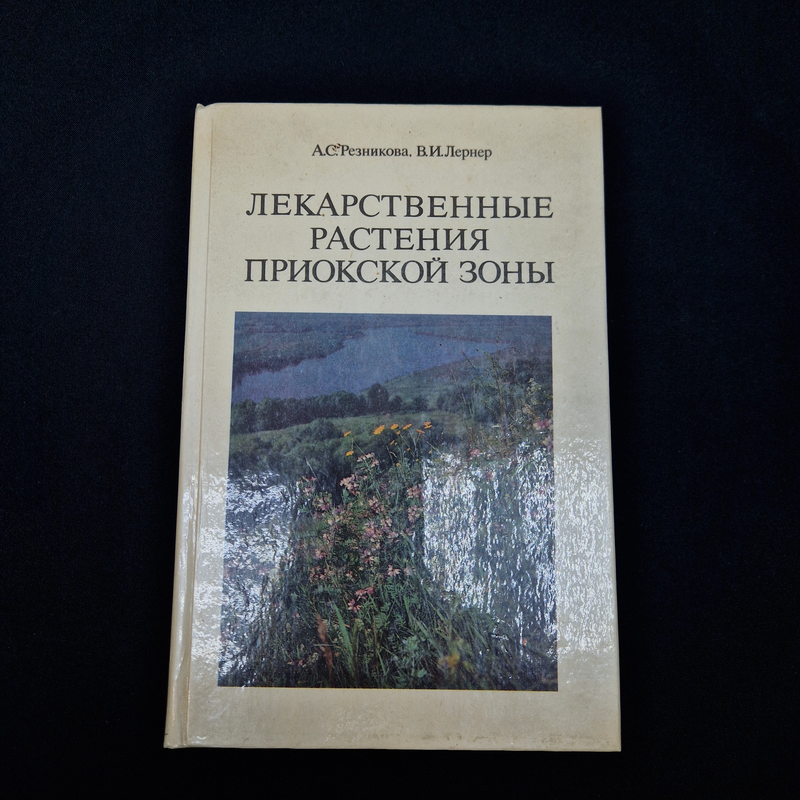 Картинка 1