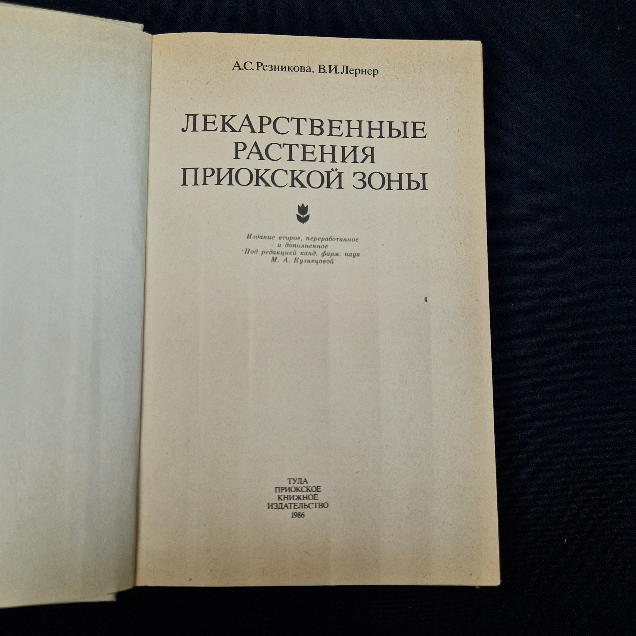 Картинка 4