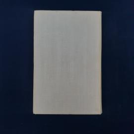 Картинка 6