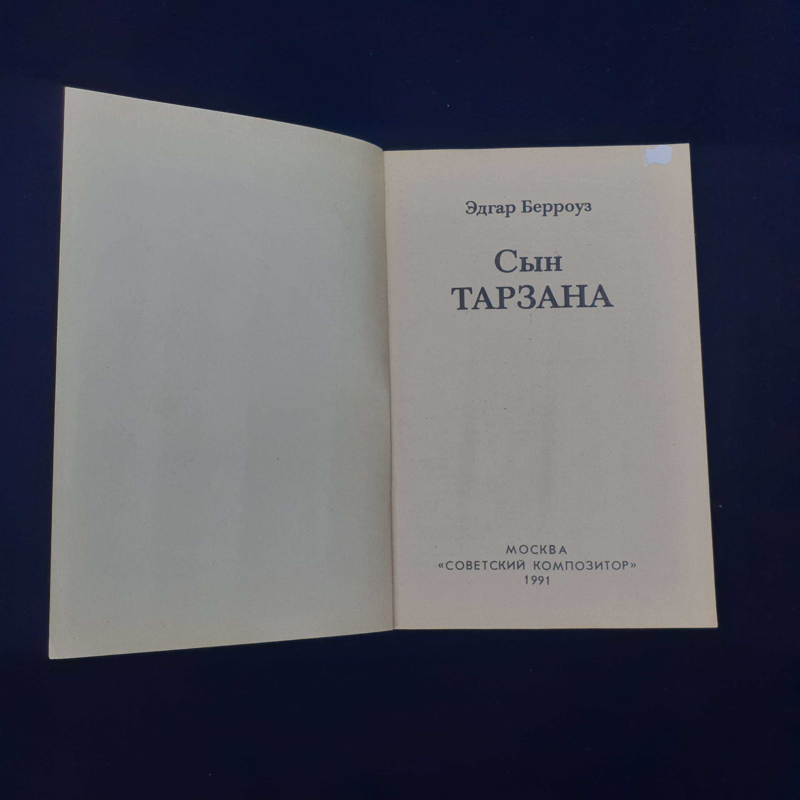 Картинка 2