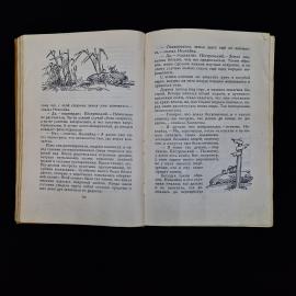 Картинка 5