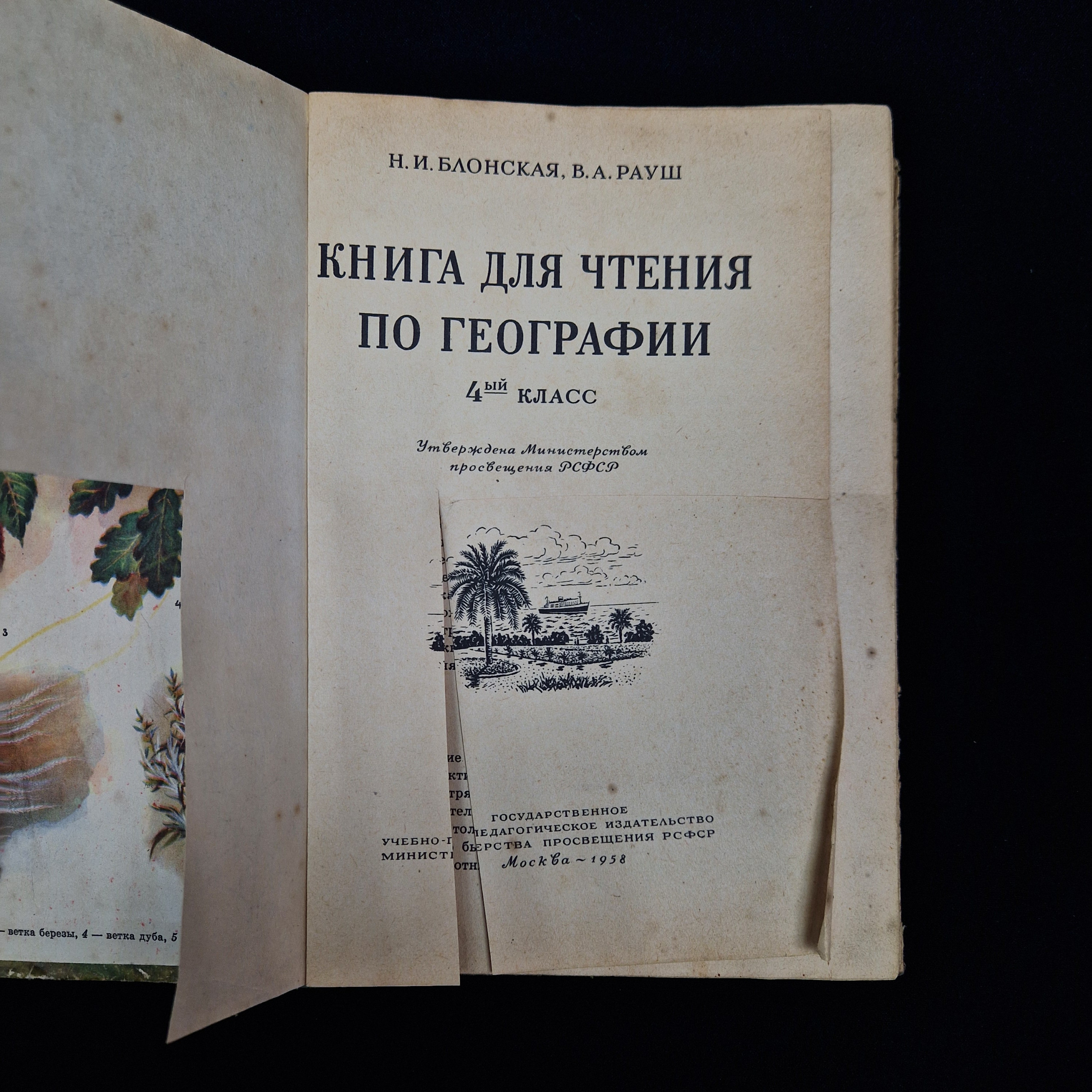 Картинка 5