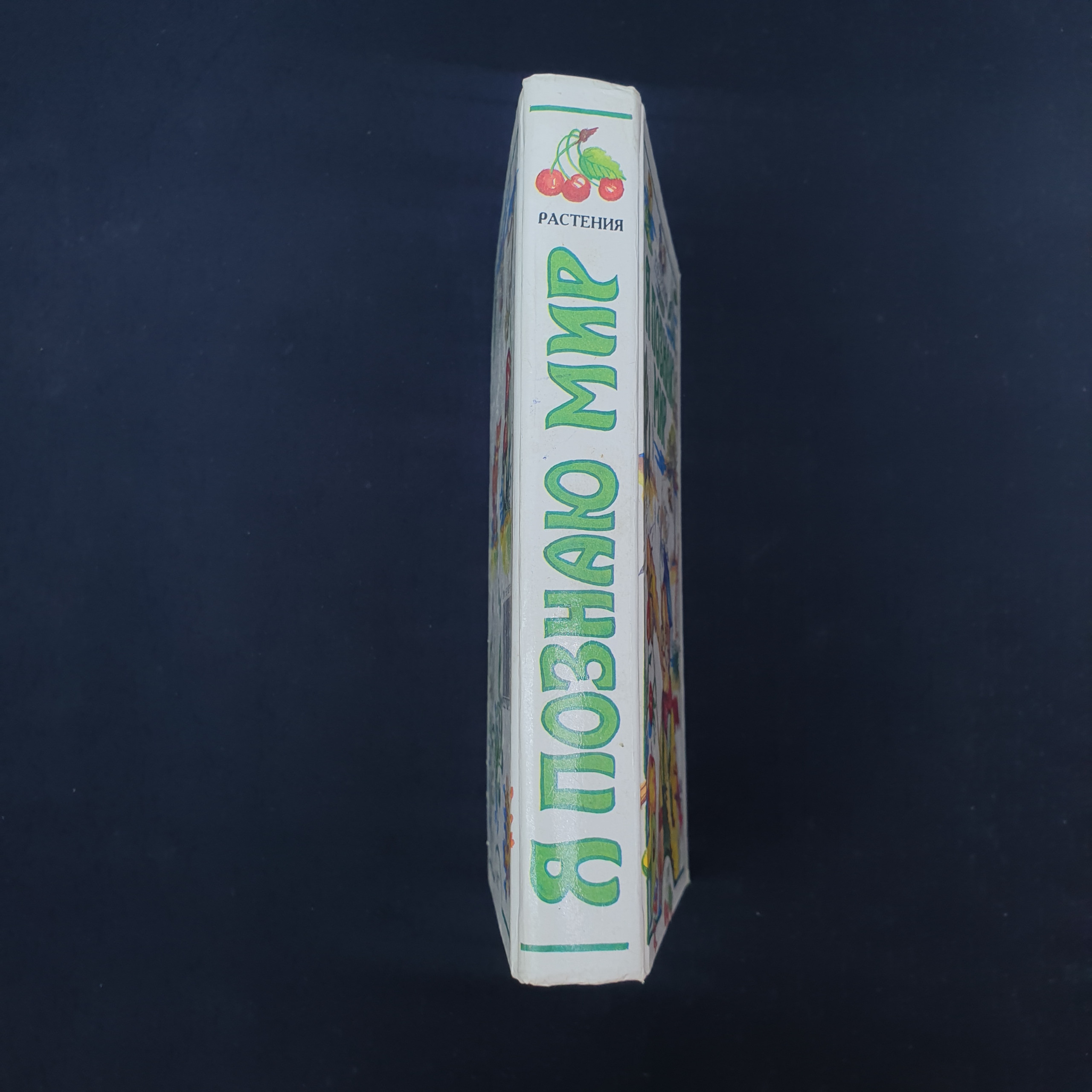 Картинка 2