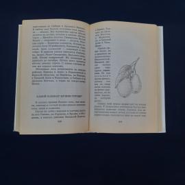 Картинка 4