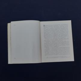 Картинка 2
