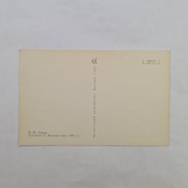 Картинка 2