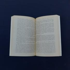 Картинка 4