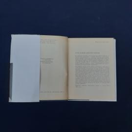 Картинка 3