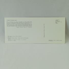 Картинка 2