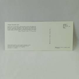 Картинка 2