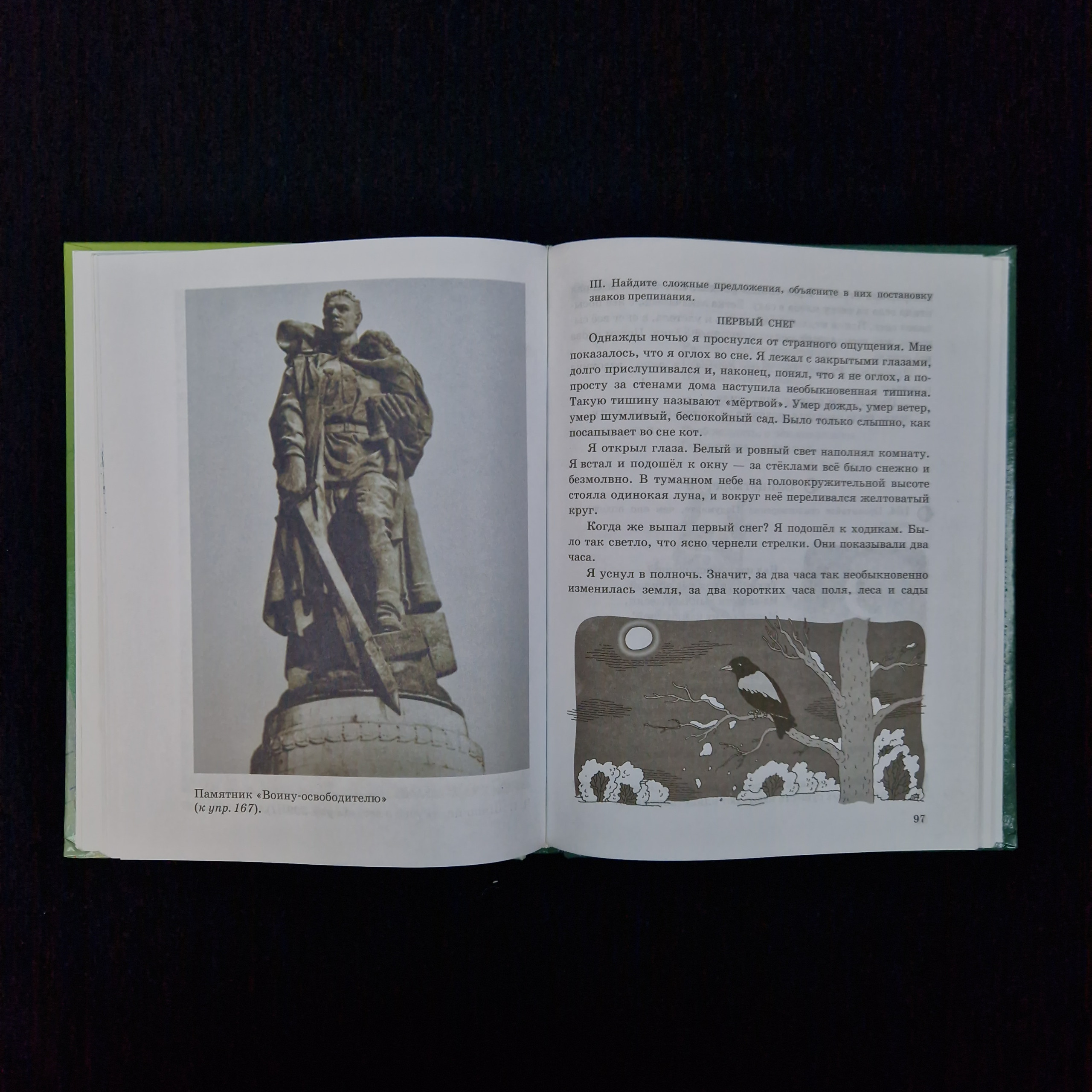 Картинка 6