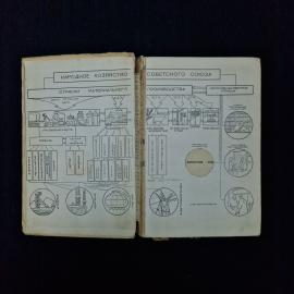 Картинка 4