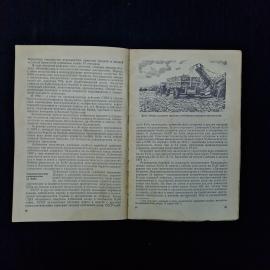 Картинка 6