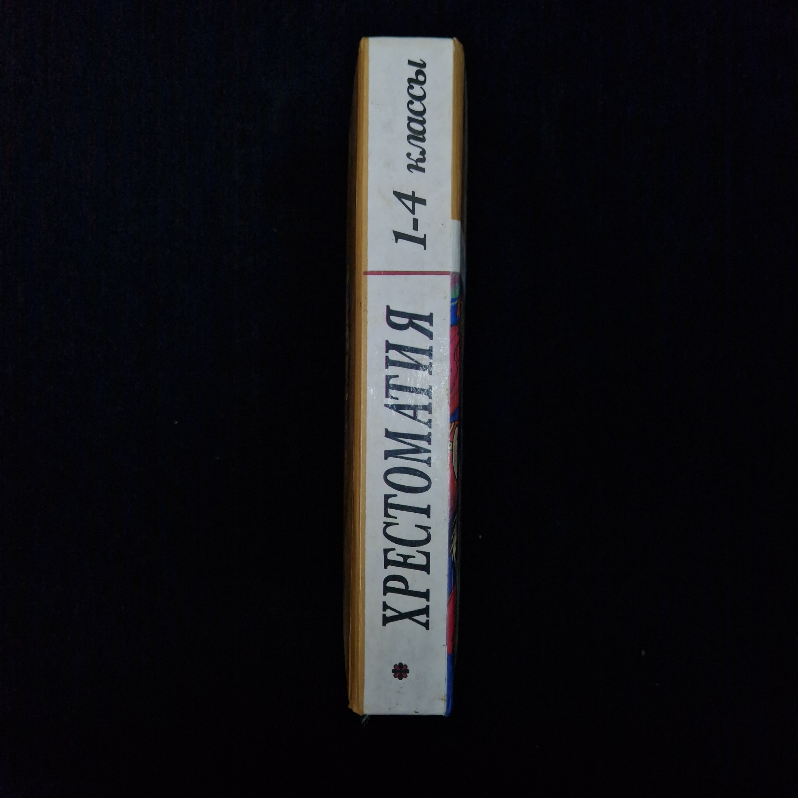 Картинка 2