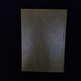 Картинка 3