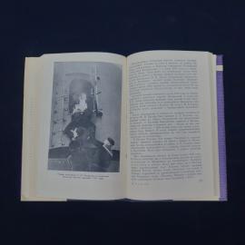 Картинка 4