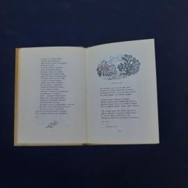 Картинка 4