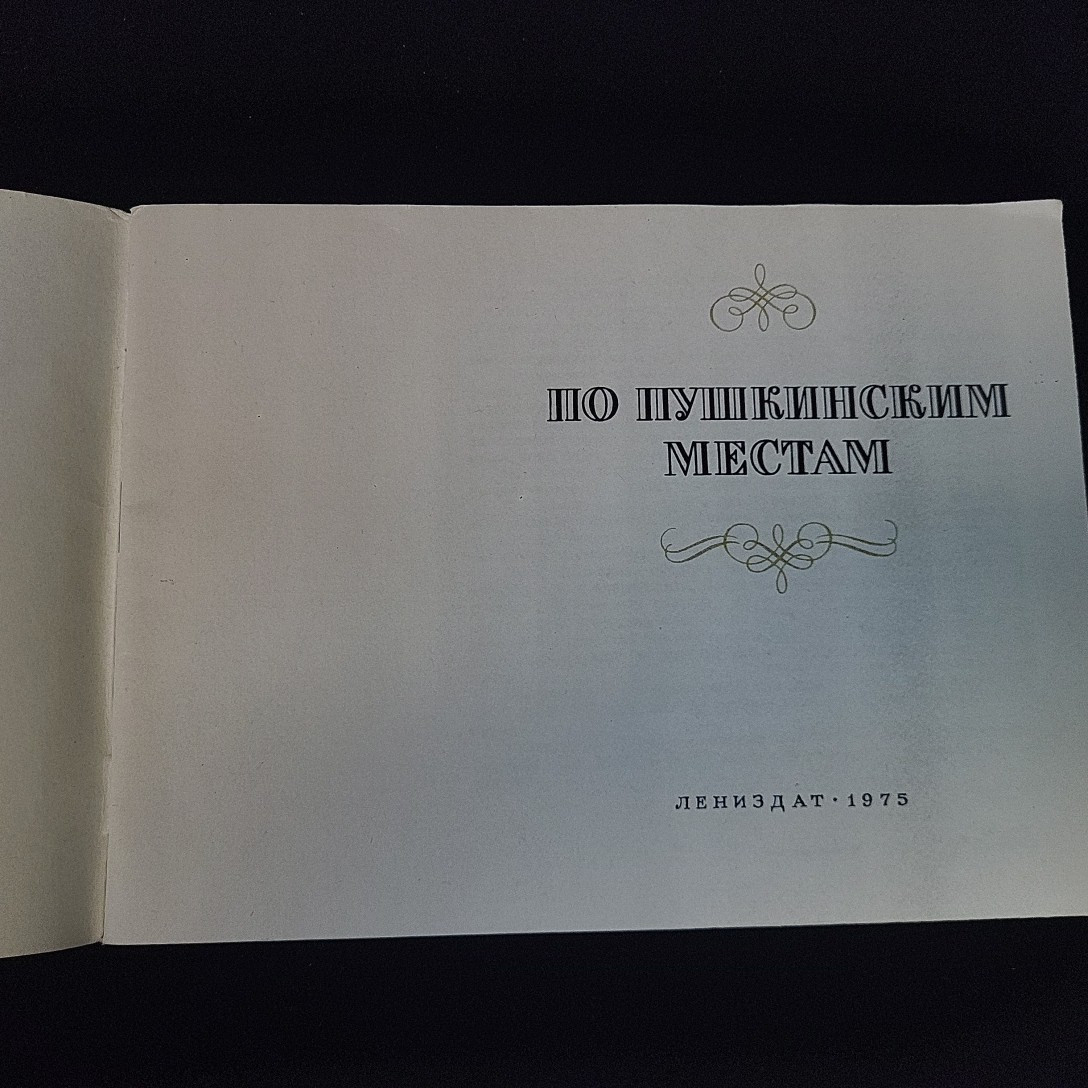 Картинка 3