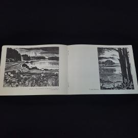 Картинка 4