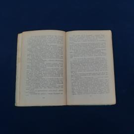 Картинка 4