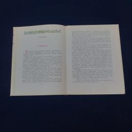 Картинка 4