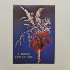 Открытка советская СССР. С днем рождения, цветочная композиция с листьями и сухоцветами. Винтаж