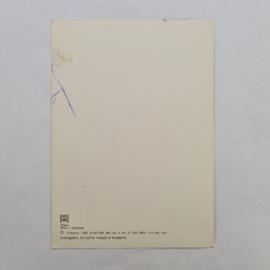 Картинка 2