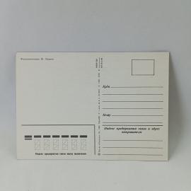 Картинка 2
