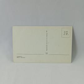 Картинка 2