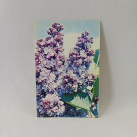 Открытка советская СССР. Сирень, цветы на ветках, фото Н. Матанова. Винтаж, издательство искусство