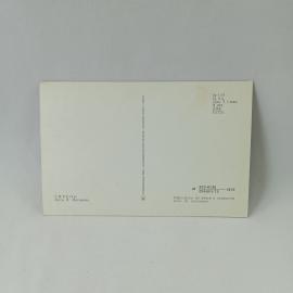 Картинка 2