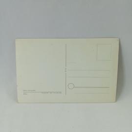 Картинка 2