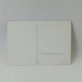 Картинка 2