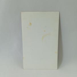 Картинка 2