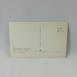 Картинка 2