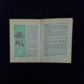 Картинка 6