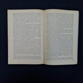 Картинка 5