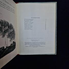 Картинка 6