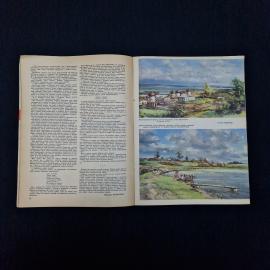 Картинка 4