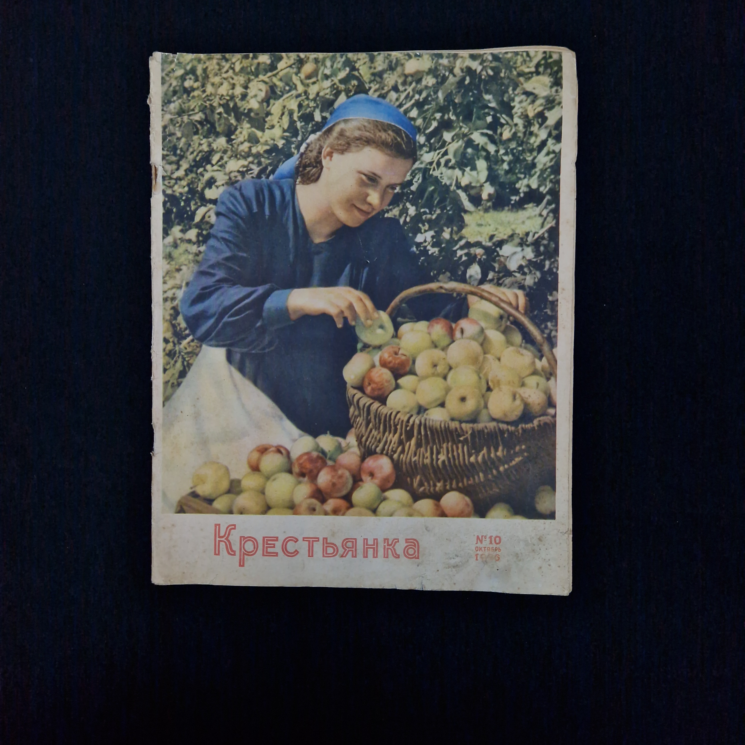 Картинка 1