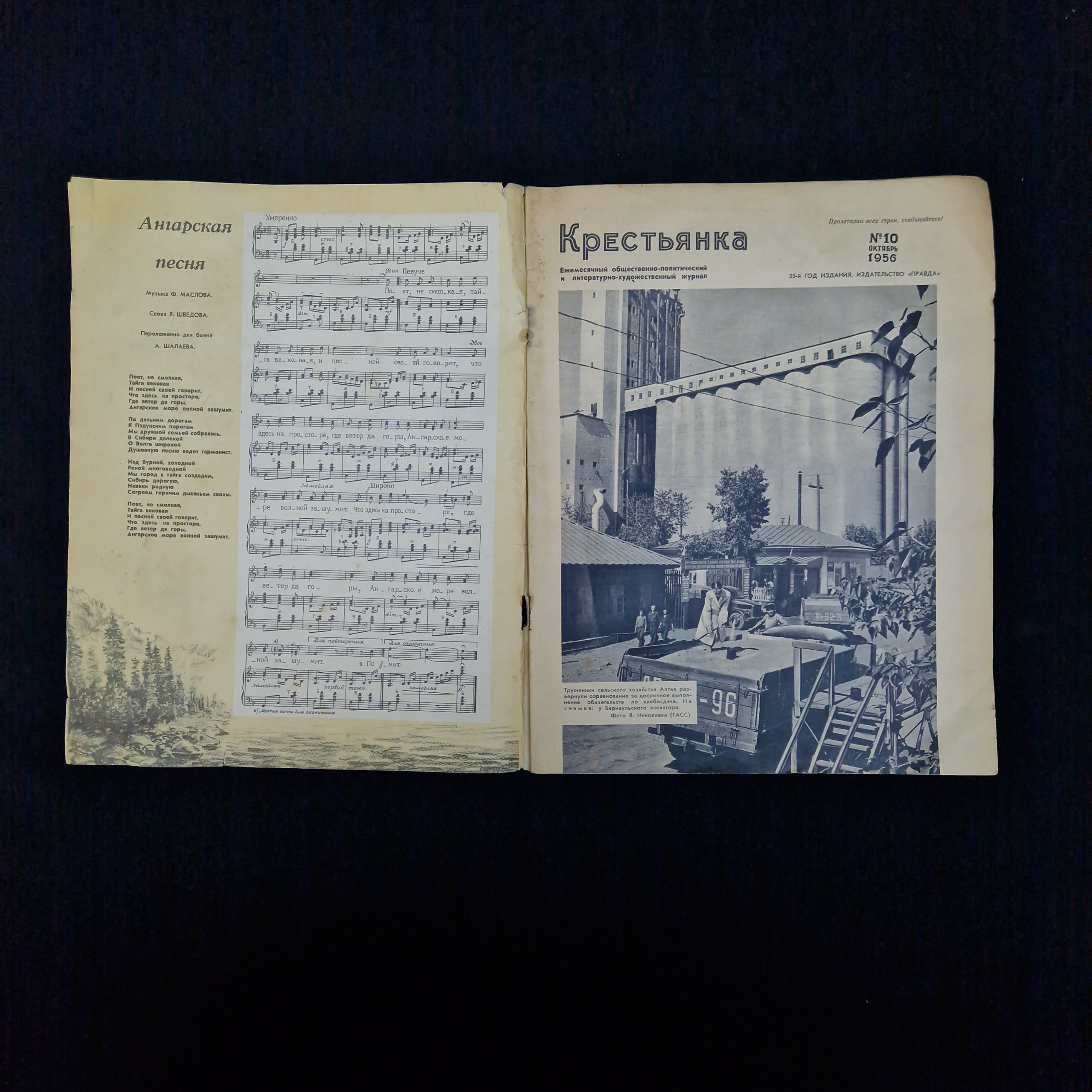 Картинка 3