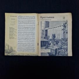 Картинка 3