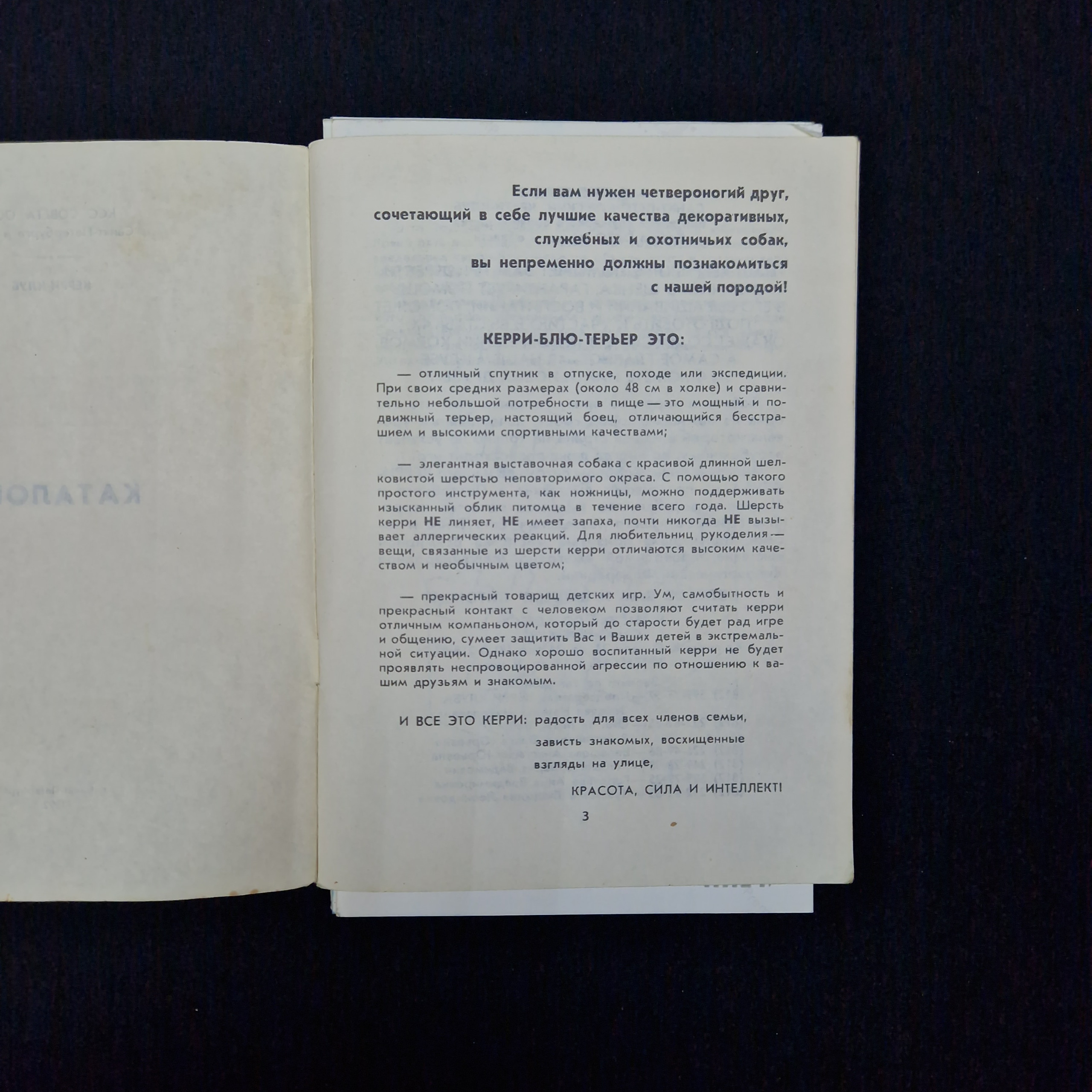 Картинка 3